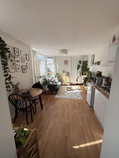 Appartement - Oranjeboomstraat - Breda