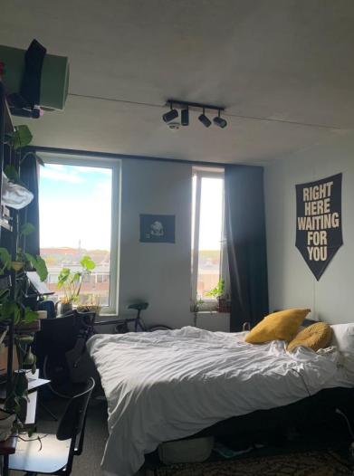 Kamer - Van Leeuwenhoekpark - Delft