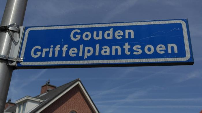 Huis - Gouden Griffelplantsoen - Berkel en Rodenrijs