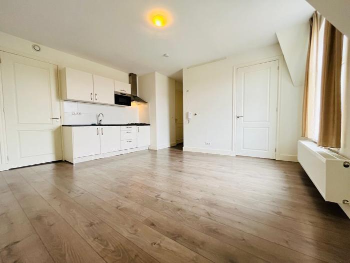 Appartement - Maaswijkstraat - 's-Gravenhage