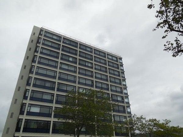 Kamer - 1e Van der Kunstraat - 's-Gravenhage