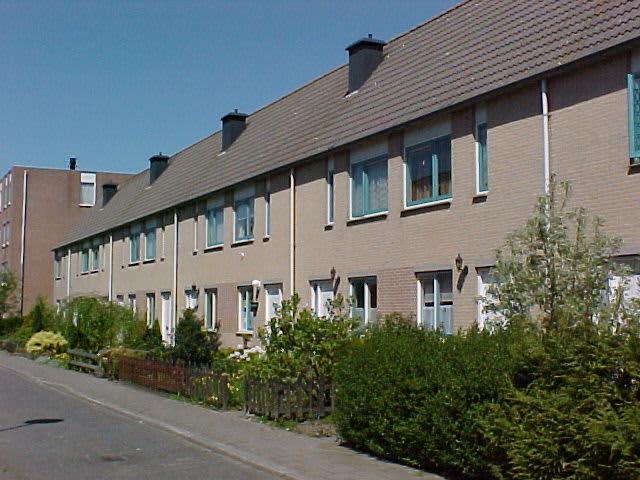 Huis - Narcispad - Almere