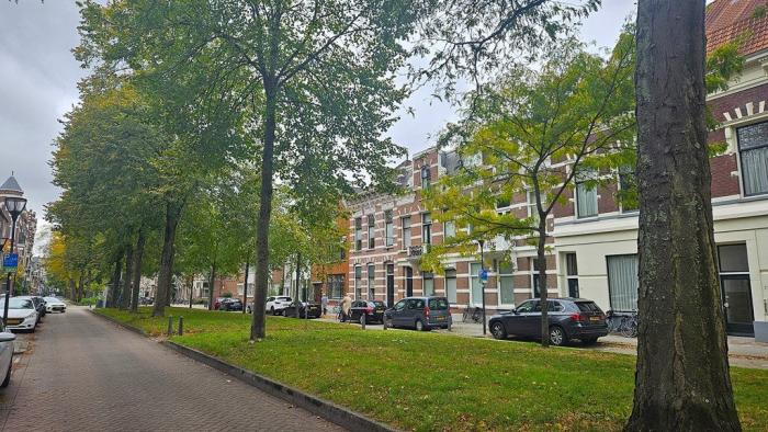 Appartement - Avenue Concordia - Rotterdam