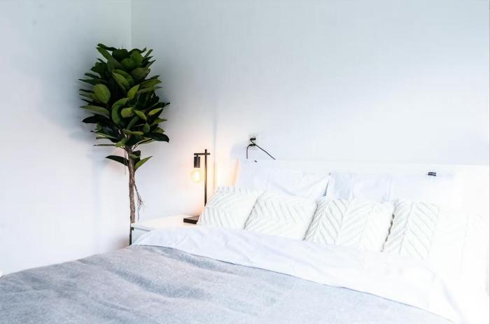 Appartement - Bredevoorde - Rotterdam