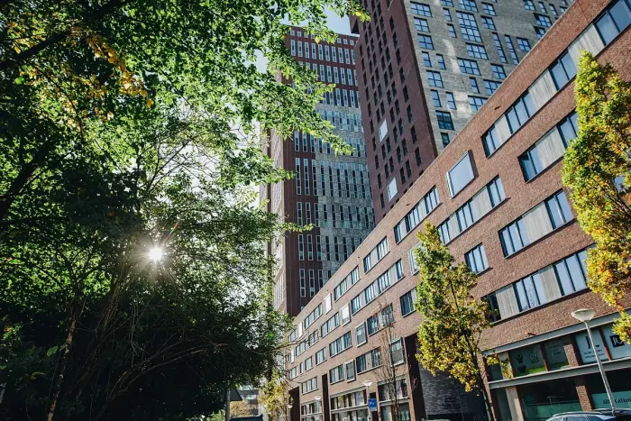 Appartement - Prinses Marijkestraat - 's-Gravenhage