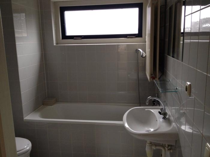 Huis - Houtzaagmolen - Mijdrecht