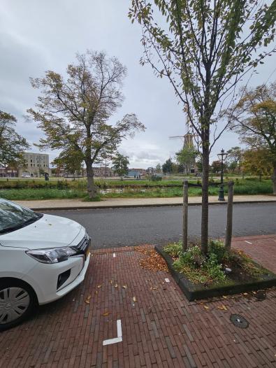 Huis - Rijnsburgersingel - Leiden