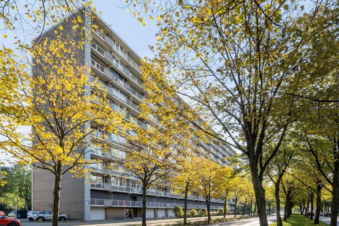 Appartement - Holysingel - Vlaardingen
