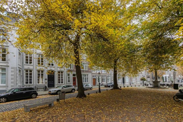 Appartement - Grote Looiersstraat - Maastricht