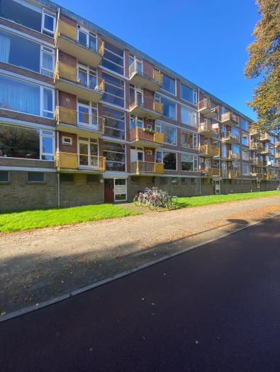 Appartement - Moezeldreef - Utrecht
