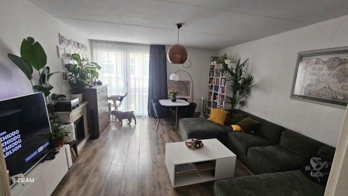 Kamer - Rapenburg - Amsterdam