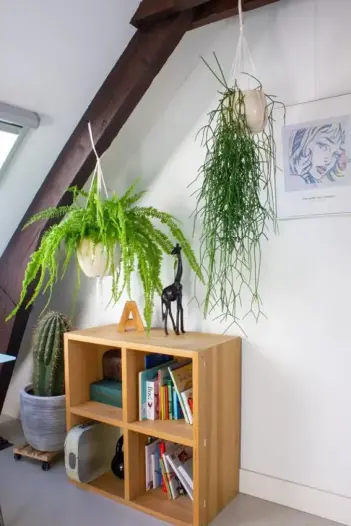 Appartement - Jacob van Wassenaar Obdamstraat - Amsterdam
