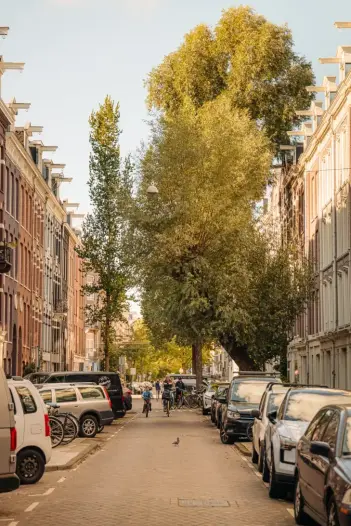 Appartement - Tweede Jan Steenstraat - Amsterdam