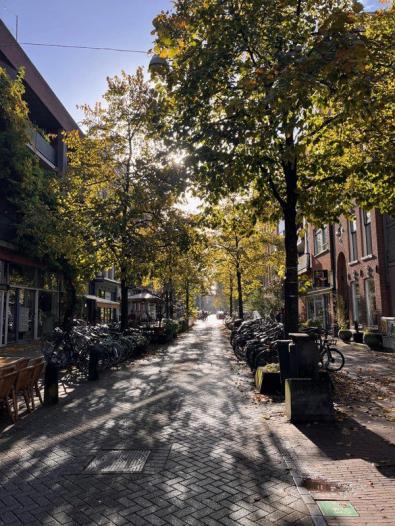 Appartement - Eerste Sweelinckstraat - Amsterdam