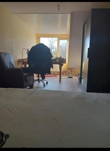 Kamer - Karperdaal - 's-Gravenhage