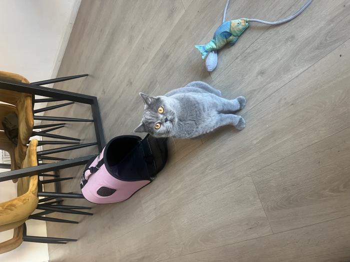 Appartement - van Arembergelaan - Voorburg