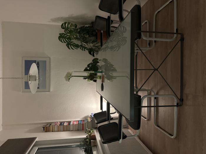 Appartement - Schlegelstraat - 's-Gravenhage