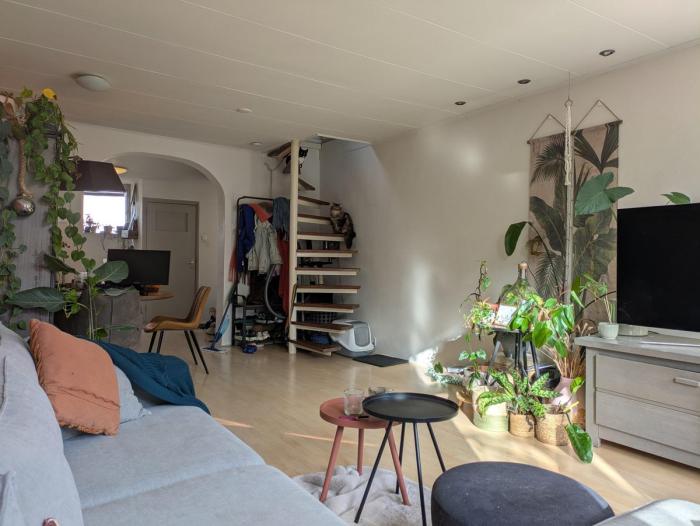 Appartement - Gedempte Nieuwesloot - Alkmaar