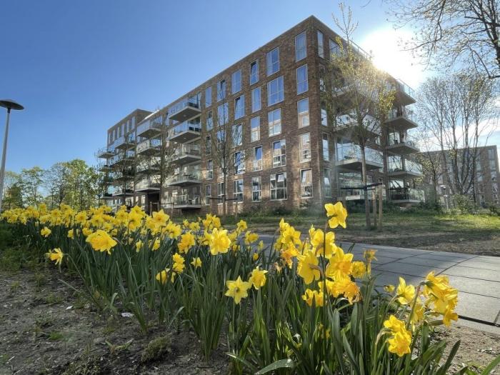 Appartement - Winklerlaan - Utrecht
