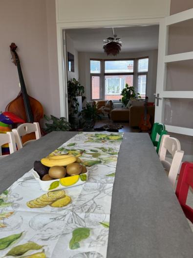 Kamer - Karel de Geerstraat - 's-Gravenhage