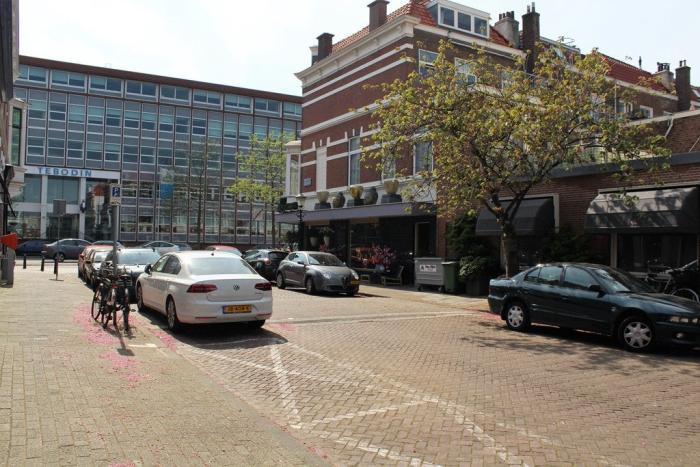 Appartement - Rijklof van Goensstraat - 's-Gravenhage