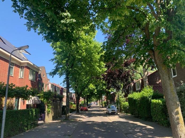 Huis - Hyacintstraat - Koog aan de Zaan