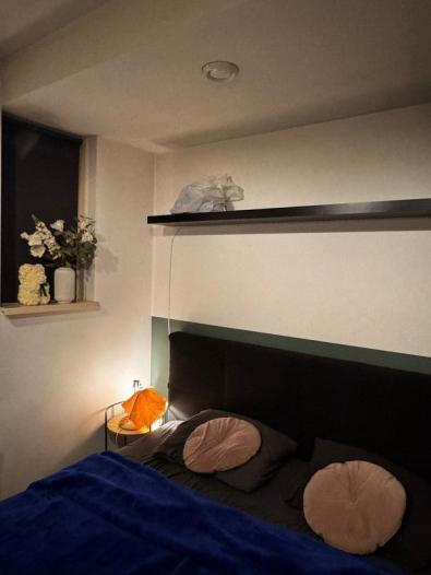 Appartement - Provincialeweg - Bunnik