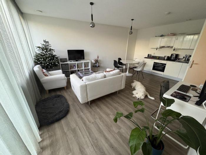 Appartement - Olmenlaan - Bussum