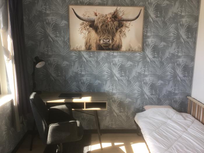 Kamer - Industriestraat - Delft