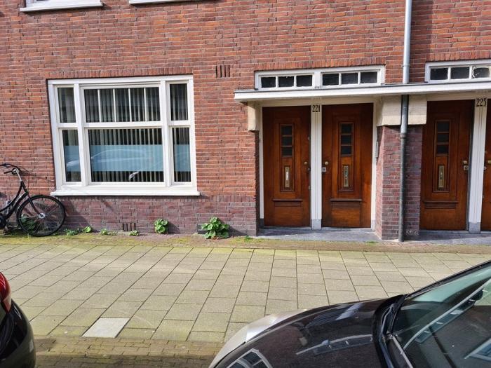 Appartement - Bestevâerstraat - Amsterdam