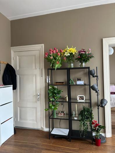 Appartement - Wilhelminastraat - Haarlem