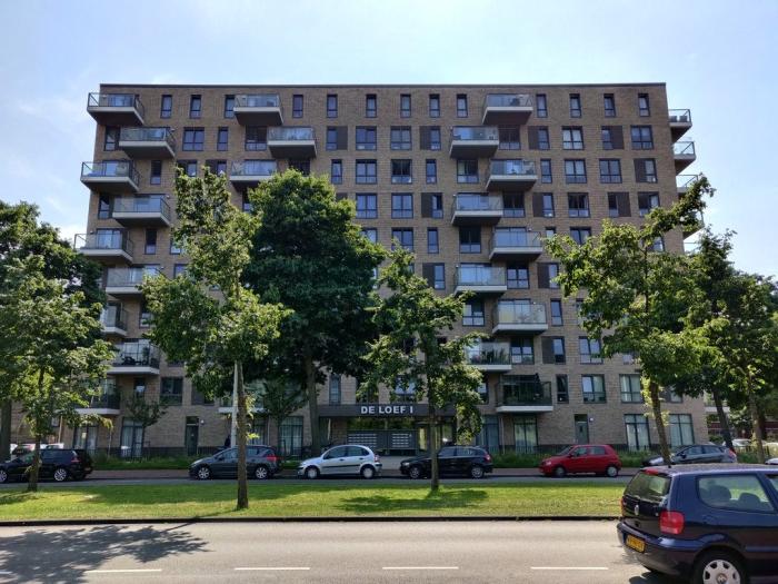 Appartement - Loevesteinlaan - 's-Gravenhage