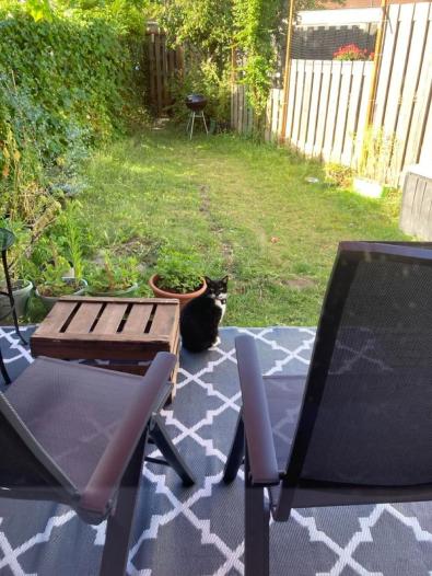 Appartement - Louis Elsevierstraat - Leiden
