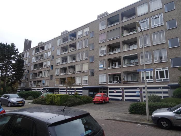 Appartement - Parelmoerhorst - 's-Gravenhage
