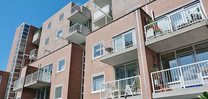 Appartement - Rupelmonde - Amsterdam