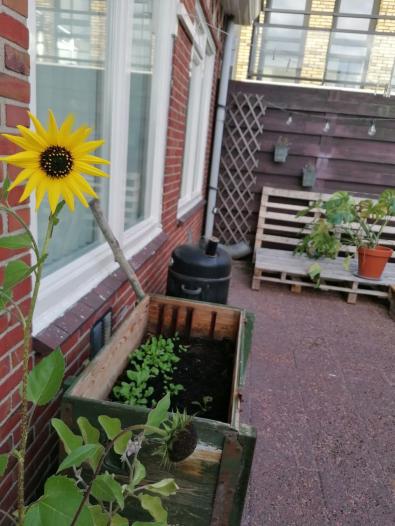 Kamer - Oosterhamrikkade - Groningen