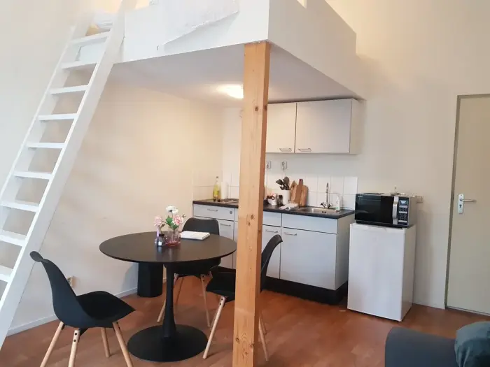 Appartement - Hoenderstraat - Maastricht