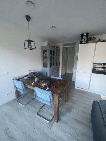 Appartement - Lindenhoeveweg - Amsterdam