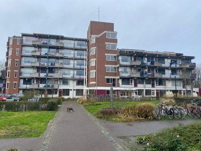 Appartement - Trosdravik - Leeuwarden