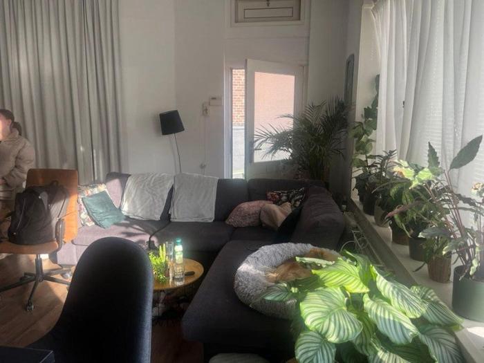 Appartement - Westvest - Schiedam