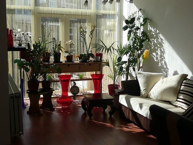 Kamer - Valkenboslaan - 's-Gravenhage