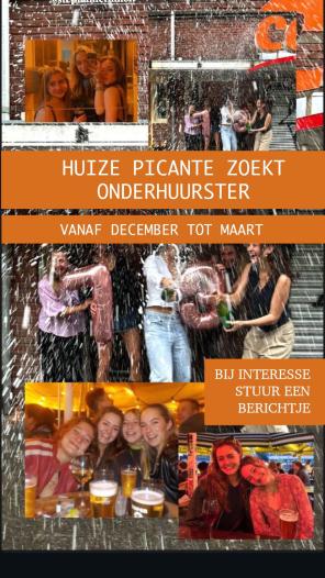 Kamer - Hof van Delftlaan - Delft