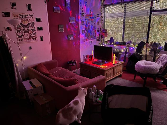 Kamer - Stamkartplein - 's-Gravenhage