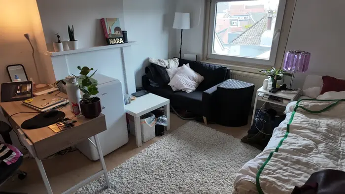 Kamer - Sint Pieterstraat - Maastricht