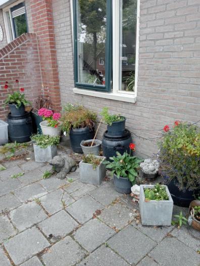 Huis - Nijensteinheerd - Groningen