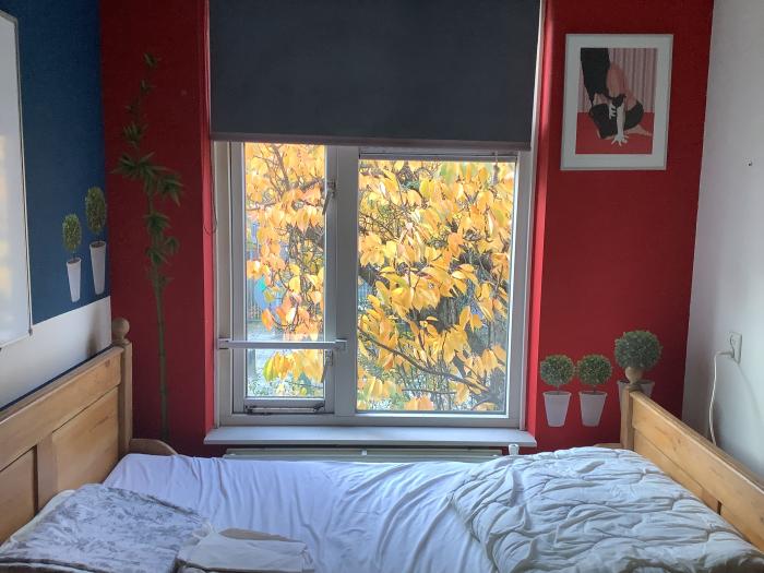 Kamer - Bilderdijkstraat - Nijmegen