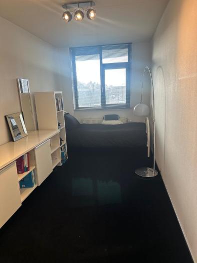 Kamer - Meerkoet - Diemen