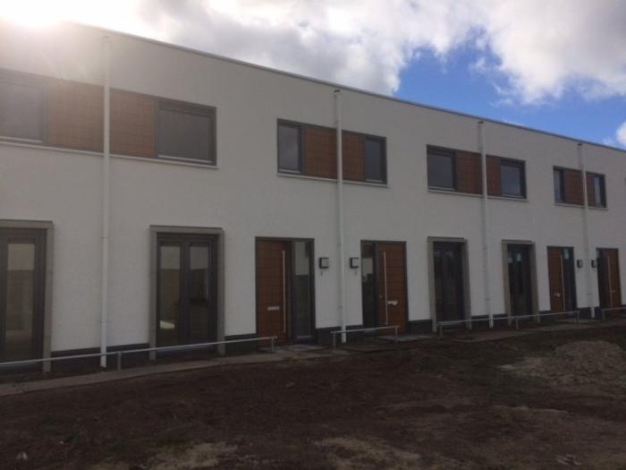 Huis - Watersalamander - Goirle