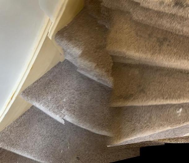 Kamer - Floris Burgwal - Capelle aan den IJssel