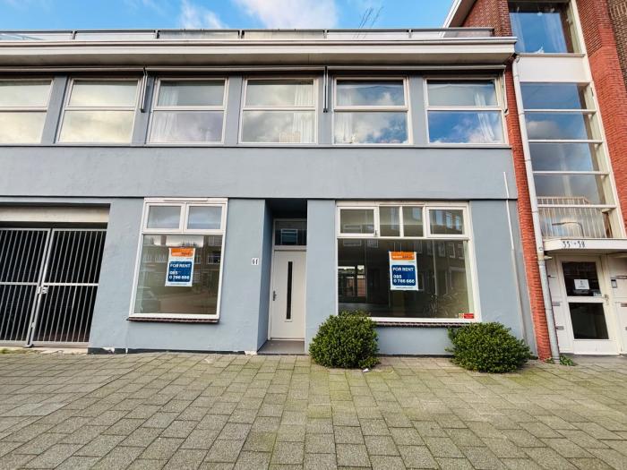 Appartement - Wingerdstraat - 's-Gravenhage